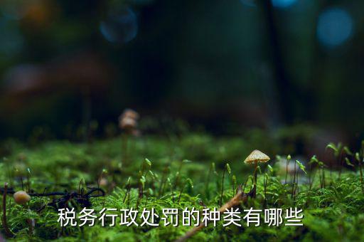 涉稅行政處罰包括什么，什么叫稅務(wù)行政處罰當(dāng)事人