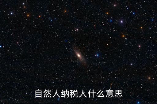 登記稅務(wù)的自然人是什么意思，請問一下自然人登記是什么意思