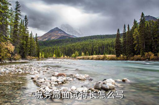 稅務(wù)局看重什么特長(zhǎng)，稅務(wù)局面試特長(zhǎng)怎么寫(xiě)