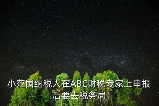 財稅專家是報什么稅，小范圍納稅人在ABC財稅專家上申報后要去稅務(wù)局