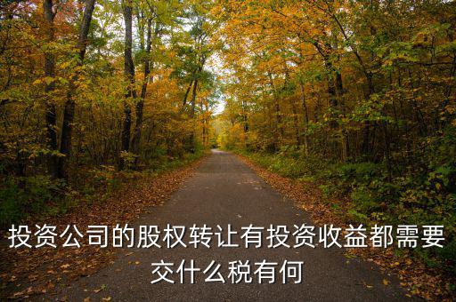 投資公司要交什么稅，投資集團(tuán)公司如何繳稅