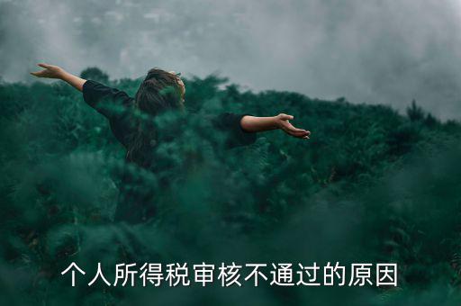 個(gè)人所得稅審核不通過的原因