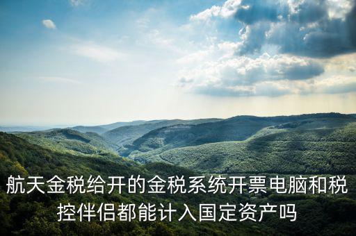 金稅為什么給中軟做，航天金稅給開的金稅系統(tǒng)開票電腦和稅控伴侶都能計(jì)入國定資產(chǎn)嗎