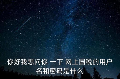 你好我想問你 一下 網(wǎng)上國(guó)稅的用戶名和密碼是什么