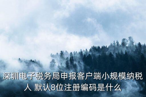 深圳電子稅務(wù)局申報客戶端小規(guī)模納稅人 默認(rèn)8位注冊編碼是什么