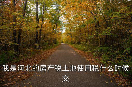 河北地稅申報后什么時候繳費，我是河北的房產(chǎn)稅土地使用稅什么時候交