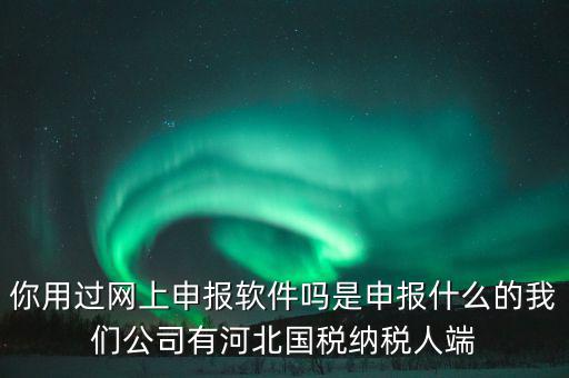 企業(yè)申報(bào)客戶端是什么，你用過網(wǎng)上申報(bào)軟件嗎是申報(bào)什么的我們公司有河北國稅納稅人端