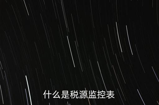 什么是稅源監(jiān)控表