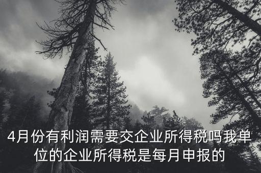 每年四月份要申報什么稅，我公司是一般納稅人四月份要申報兩個不同稅稅率的稅有一個可以