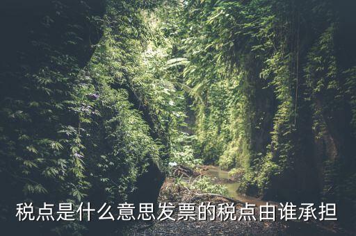 稅點(diǎn)由什么決定，稅點(diǎn)是什么意思