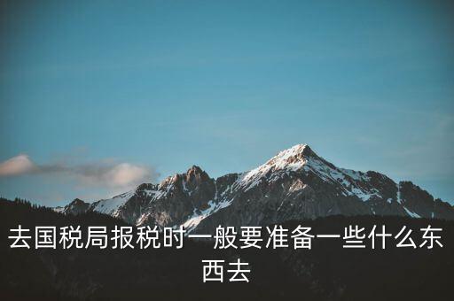 去國(guó)稅局報(bào)稅時(shí)一般要準(zhǔn)備一些什么東西去