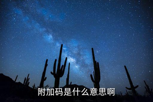 遼寧查發(fā)票有一個(gè)附加碼是什么，發(fā)票真?zhèn)尾樵兇a是什么