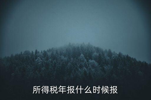 所得稅年報什么時候報