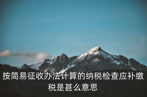 簡(jiǎn)易征收什么意思，按簡(jiǎn)易征收辦法計(jì)算的納稅檢查應(yīng)補(bǔ)繳稅是甚么意思