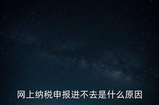 網上納稅申報進不去是什么原因