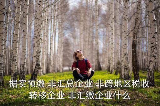 據(jù)實(shí)預(yù)繳 非匯總企業(yè) 非跨地區(qū)稅收轉(zhuǎn)移企業(yè) 非匯繳企業(yè)什么