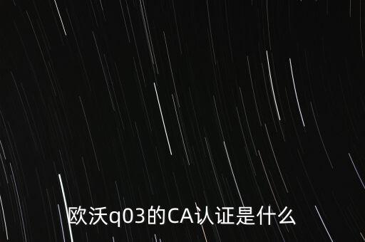 ca認(rèn)證密碼是什么意思，歐沃q03的CA認(rèn)證是什么