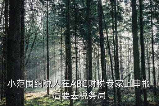 小范圍納稅人在ABC財稅專家上申報后要去稅務(wù)局