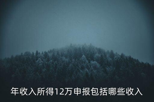 十二萬(wàn)申報(bào)是什么，12萬(wàn)個(gè)稅申報(bào)有什么用