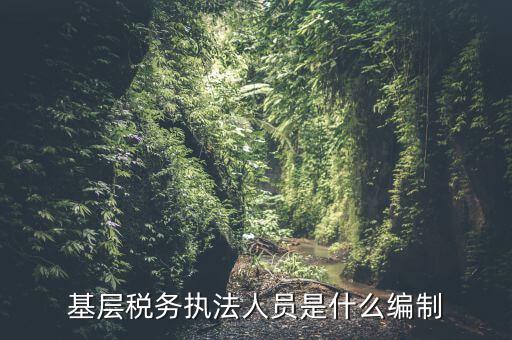 基層稅收執(zhí)法干什么的，基層稅務(wù)執(zhí)法人員是什么編制