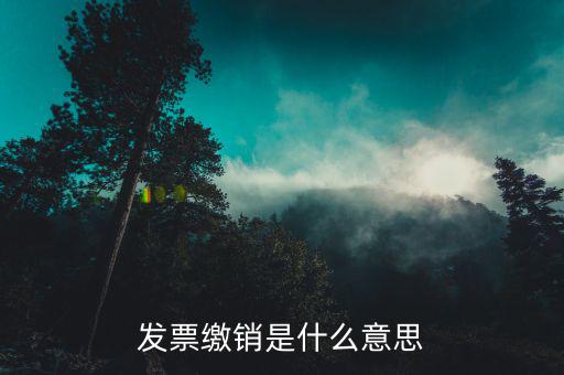 發(fā)票繳銷是什么意思