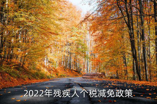 2022年殘疾人個稅減免政策