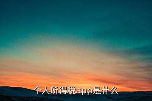 網(wǎng)上交稅要下載什么東西，個(gè)人所得稅官網(wǎng)登錄企業(yè)個(gè)人所得稅要下載什么端口申報(bào)