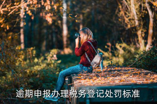 逾期申報(bào)辦理稅務(wù)登記處罰標(biāo)準(zhǔn)