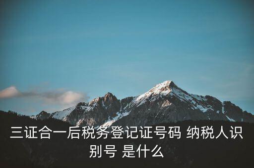 三證合一納稅識別號是什么，三證合一后納稅人識別號是什么意思