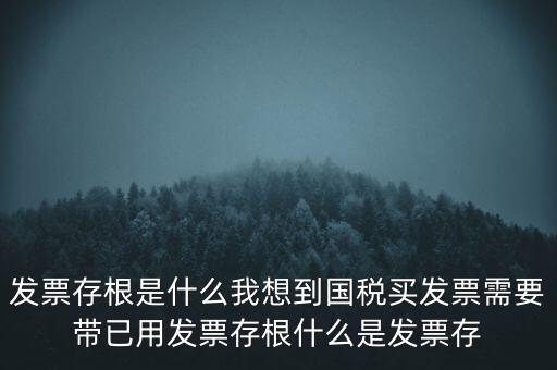 發(fā)票電子存根是什么，發(fā)票存根是什么