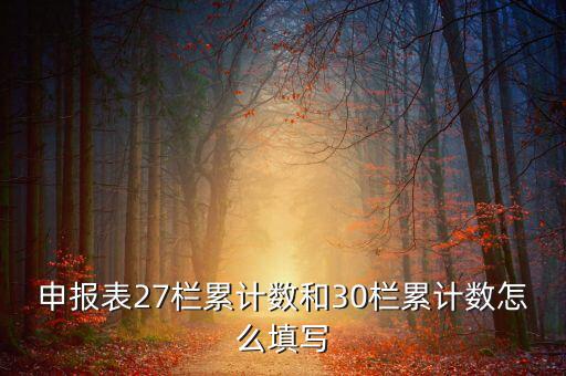 什么是期初未繳稅額，申報表27欄累計數(shù)和30欄累計數(shù)怎么填寫