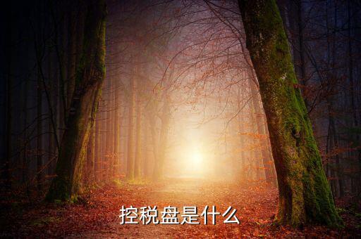 稅控盤是什么，稅控發(fā)票開票軟件 和金稅盤是什么意思