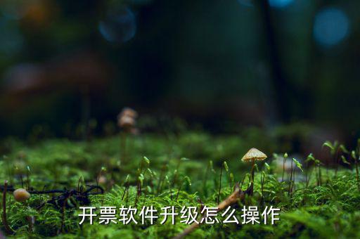 發(fā)票升級(jí)最新版本是什么原因，稅務(wù)升版是什么意思