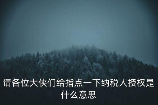 納稅人獲得感是什么意思，請各位大俠們給指點一下納稅人授權(quán)是什么意思