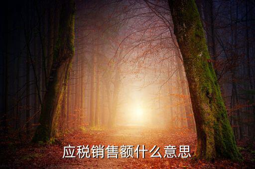 稅務(wù)銷售額是什么意思，年應(yīng)稅銷售額是什么意思