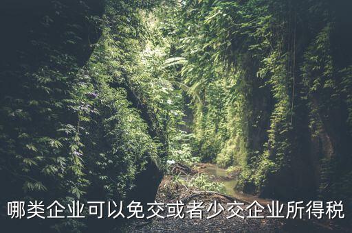 什么情況下企業(yè)可以減免稅收，哪類企業(yè)可以免交或者少交企業(yè)所得稅