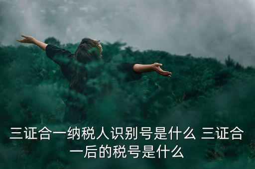 三證合一后稅號(hào)是什么，三證合一納稅人識(shí)別號(hào)是什么 三證合一后的稅號(hào)是什么