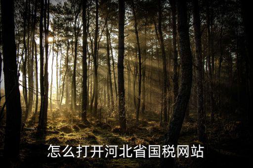 河北稅務官網(wǎng)是什么意思，怎么打開河北省國稅網(wǎng)站