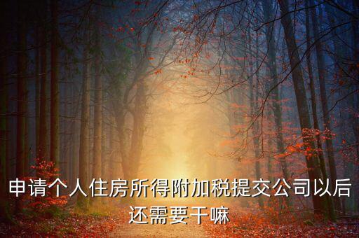 申請(qǐng)個(gè)人住房所得附加稅提交公司以后還需要干嘛