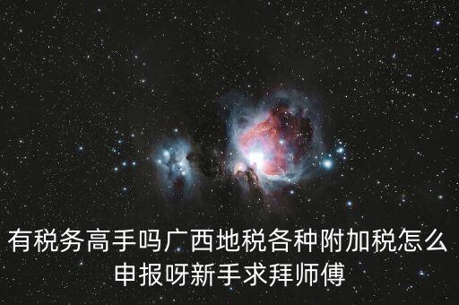 廣西地稅每個(gè)月要申報(bào)什么內(nèi)容，有稅務(wù)高手嗎廣西地稅各種附加稅怎么申報(bào)呀新手求拜師傅