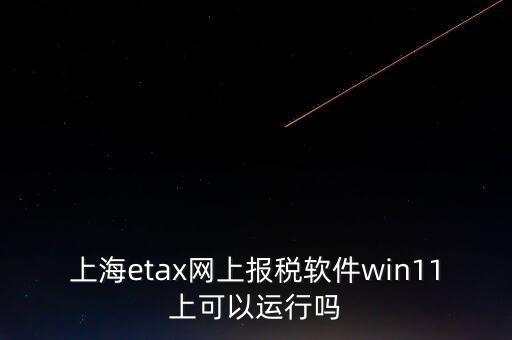 上海網(wǎng)上報稅什么軟件，上海etax網(wǎng)上報稅軟件win11上可以運行嗎