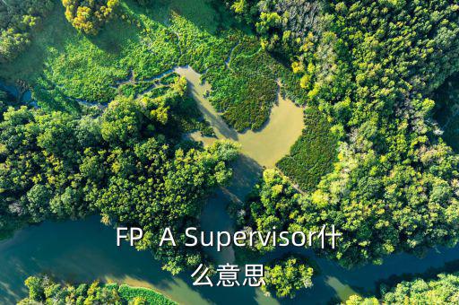 FP  A Supervisor什么意思