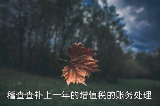 稽查補(bǔ)什么稅，請(qǐng)問(wèn)被國(guó)稅局稽查局查處補(bǔ)交增值稅所得稅及滯納金計(jì)入應(yīng)哪個(gè)科目