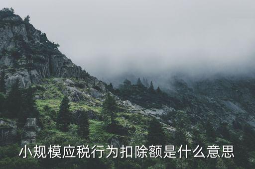 小規(guī)模應(yīng)稅行為扣除額是什么意思