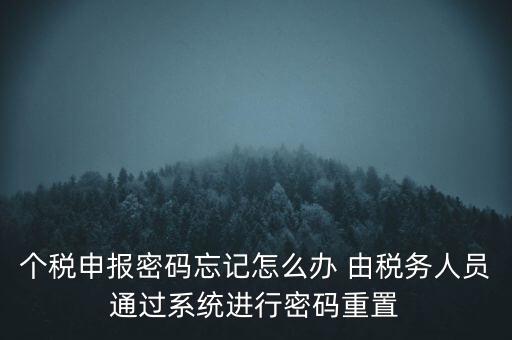 個稅申報密碼忘記怎么辦 由稅務(wù)人員通過系統(tǒng)進行密碼重置