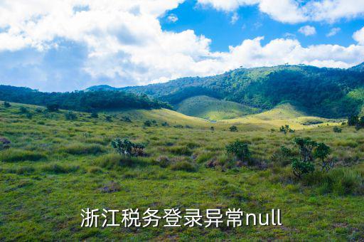 浙江稅務登錄異常null