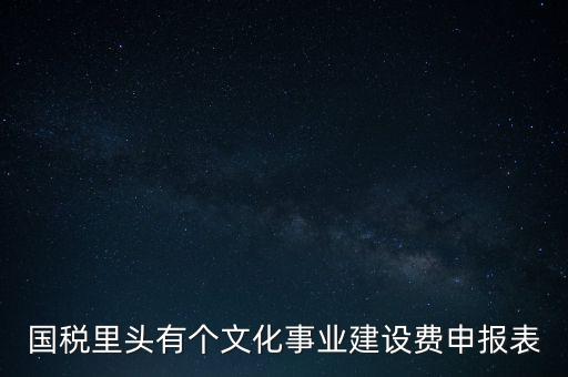 國(guó)稅里頭有個(gè)文化事業(yè)建設(shè)費(fèi)申報(bào)表