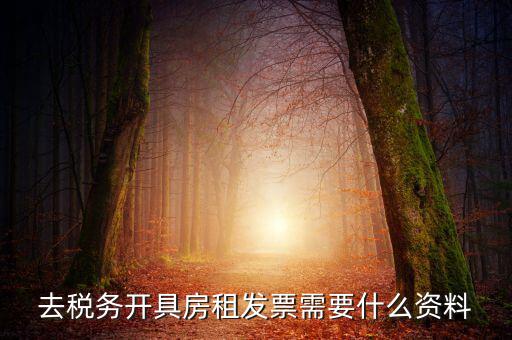 去稅務(wù)開具房租發(fā)票需要什么資料