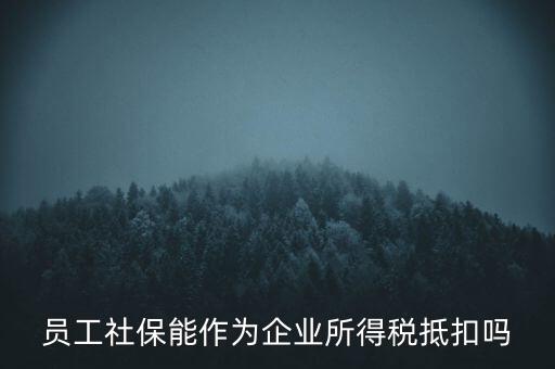 企業(yè)社保可以抵什么稅，員工社保能作為企業(yè)所得稅抵扣嗎