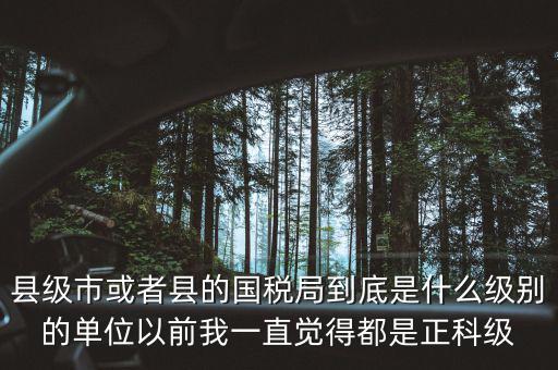 縣國稅局辦稅服務(wù)廳主任是什么級別，縣地稅局辦公室主任是什么行政級別